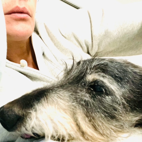 "You Can Git It"
๐ค๐พโค๏ธ๐ธ - Picture 6 of 8